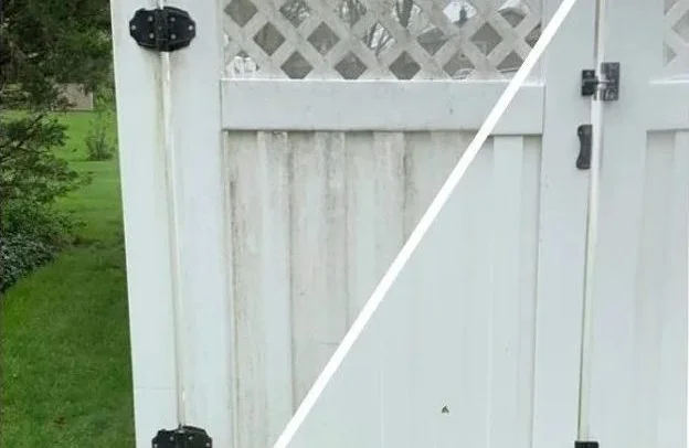 Fence Cleaning